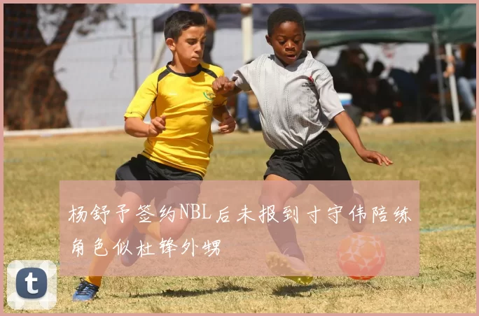 杨舒予签约NBL后未报到寸守伟陪练角色似杜锋外甥
